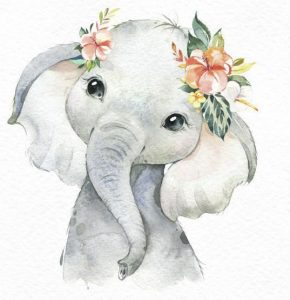 Babyelefant